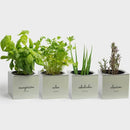 Kit Paisagismo Residencial Completo