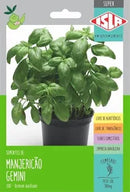 Semente de Manjericão Topseed